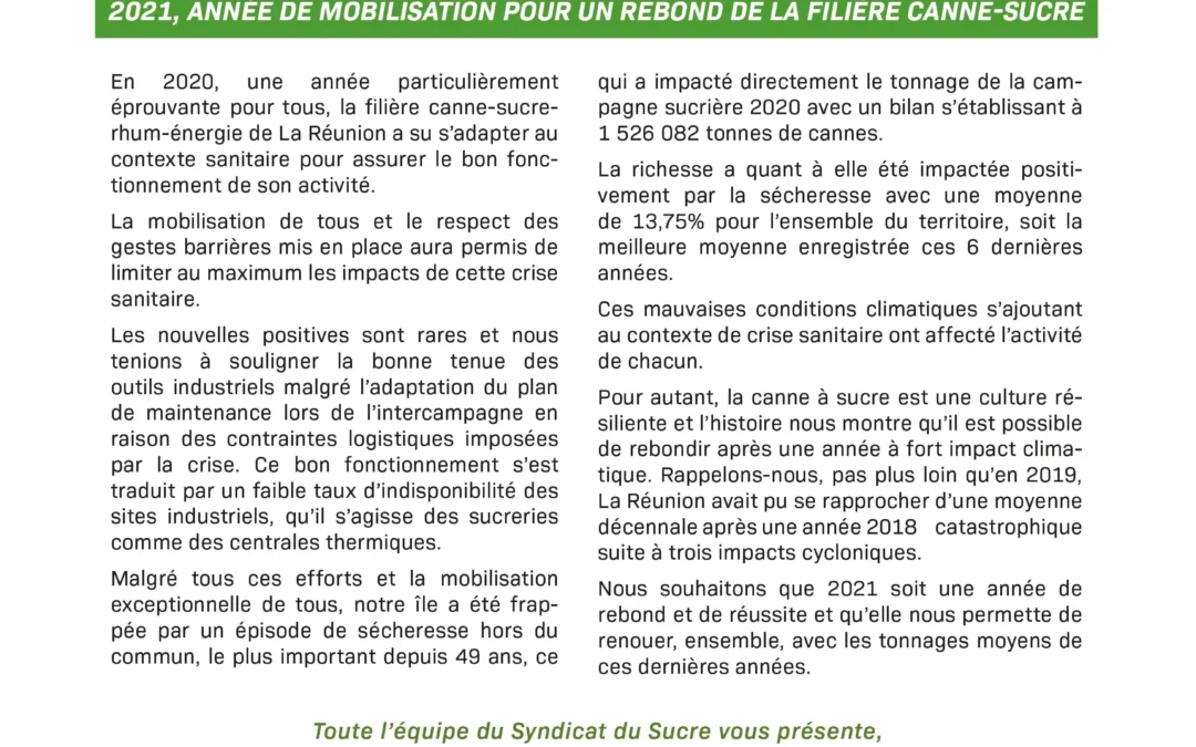 Canne Echo N°88