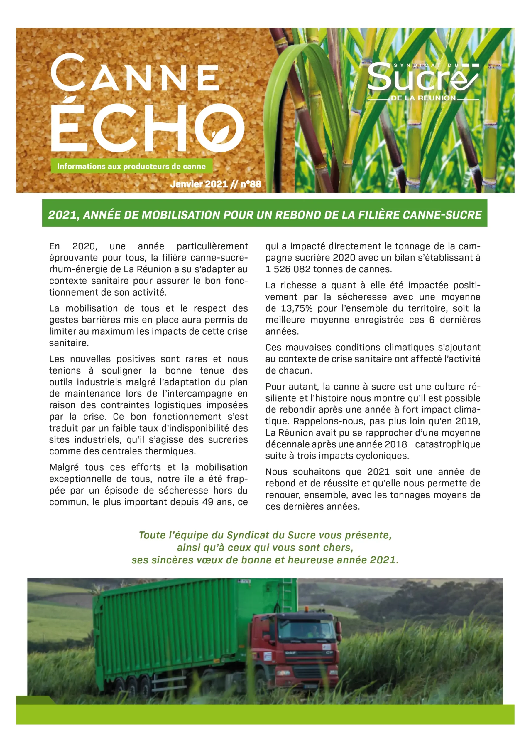 Canne Echo N°88