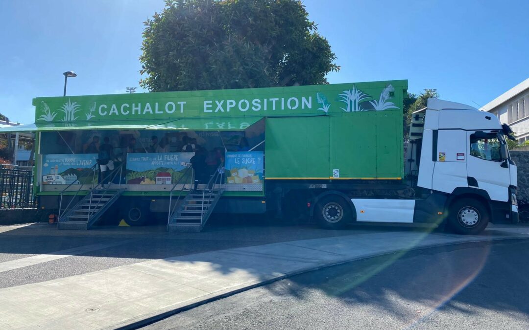 Le Cachalot Exposition a commencé sa tournée 2023 !