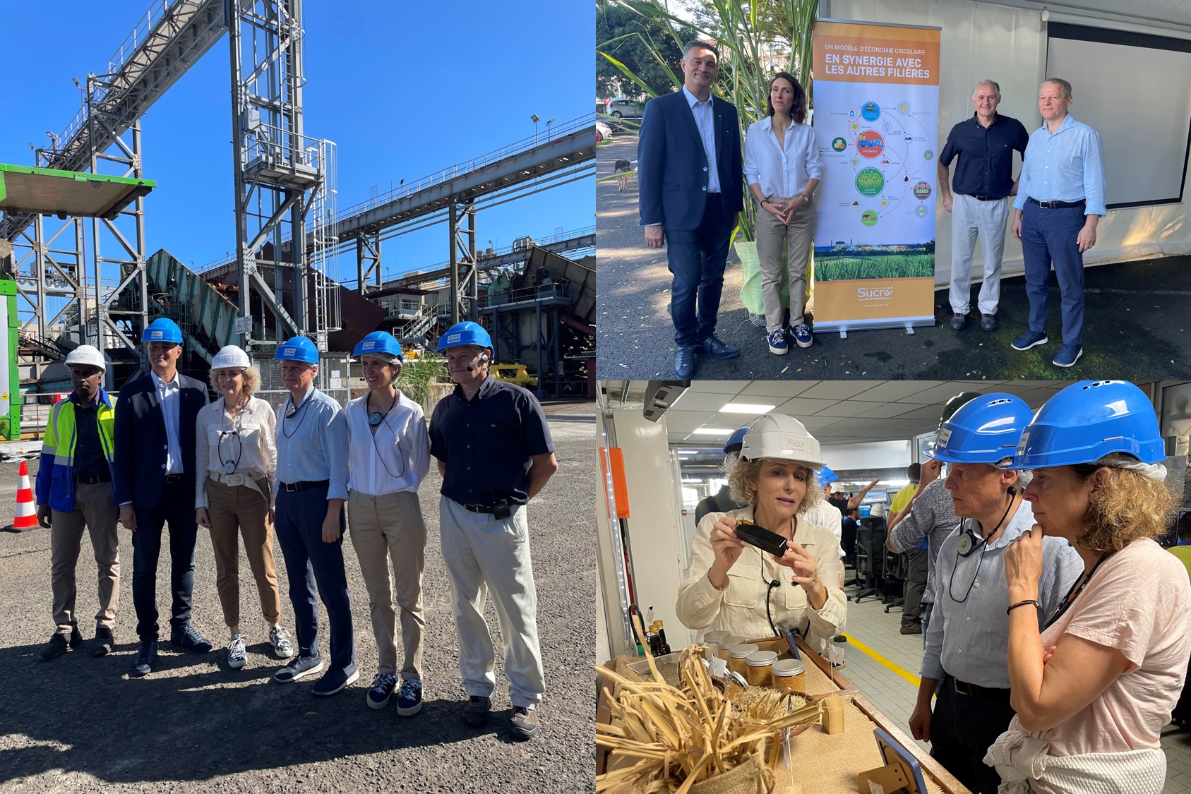 Visite de députés européens à la sucrerie de Bois-Rouge