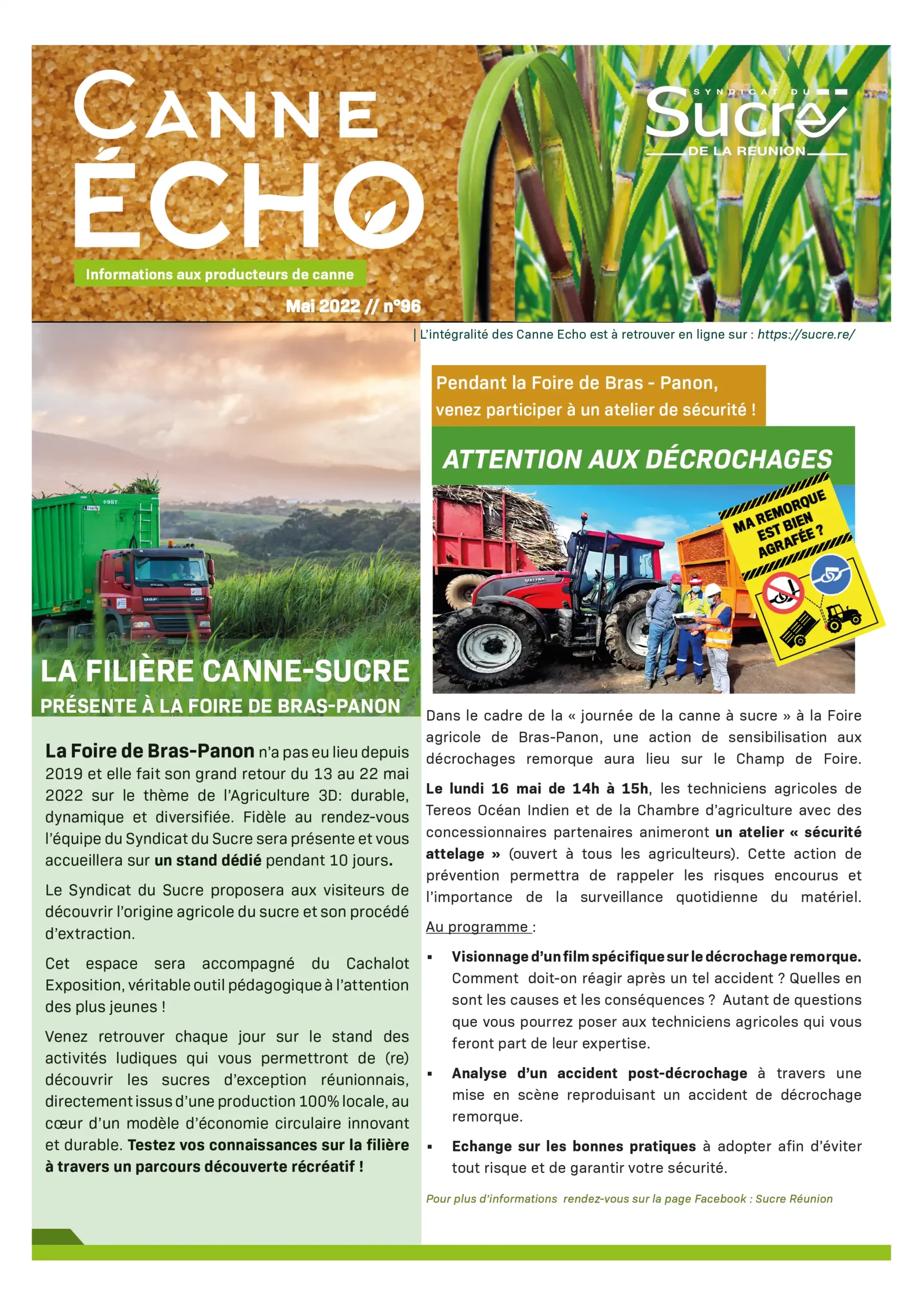 Canne Echo N°96