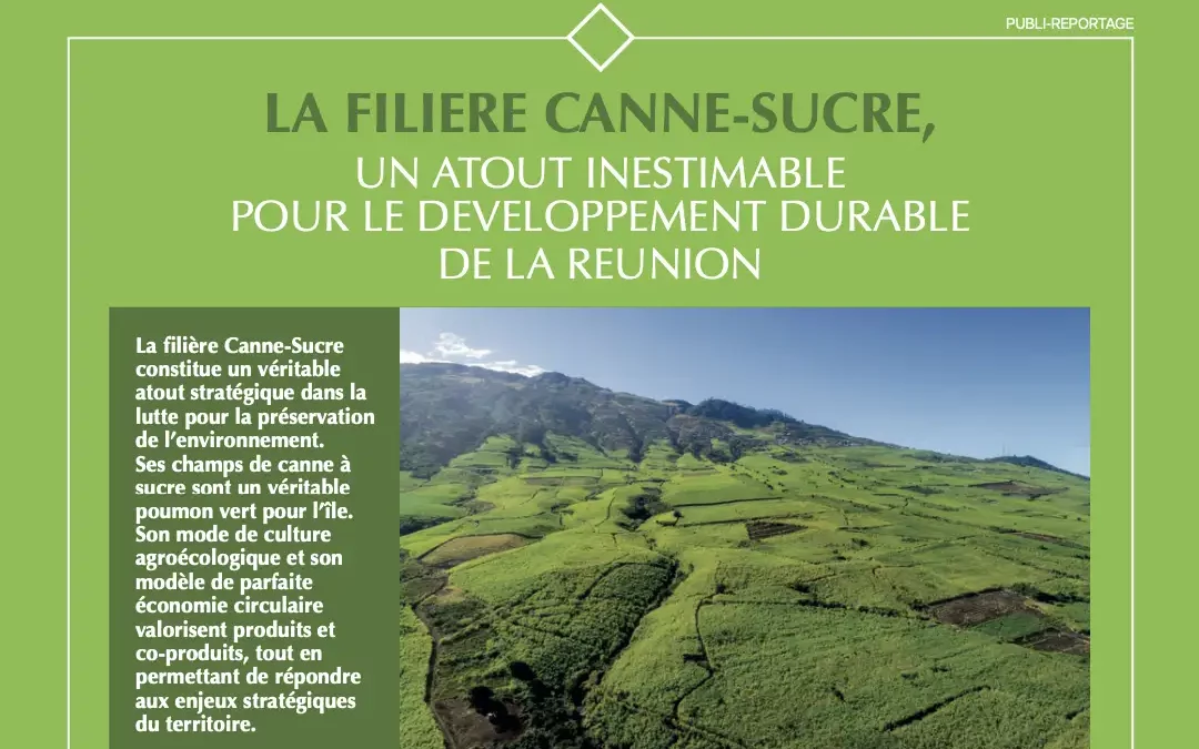 Memento Special Ecologik