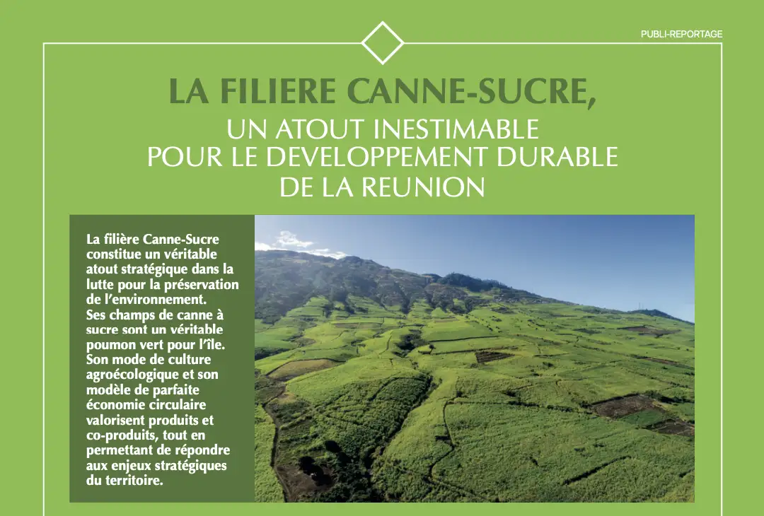 Memento Special Ecologik