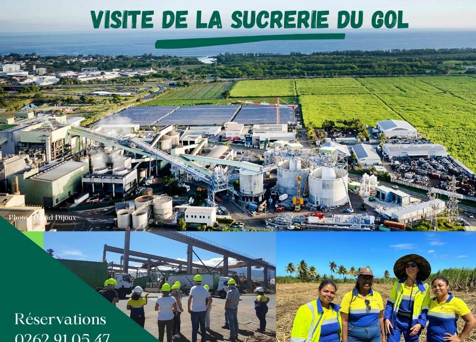 Venez visiter la sucrerie du Gol !