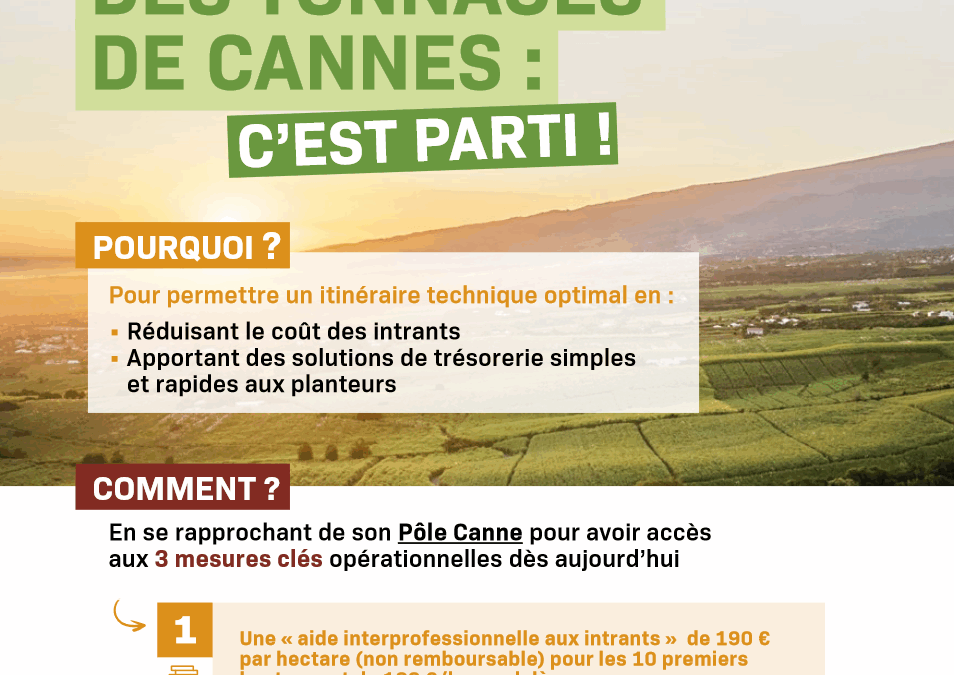 Le plan de relance des tonnages de canne : TOP DEPART !