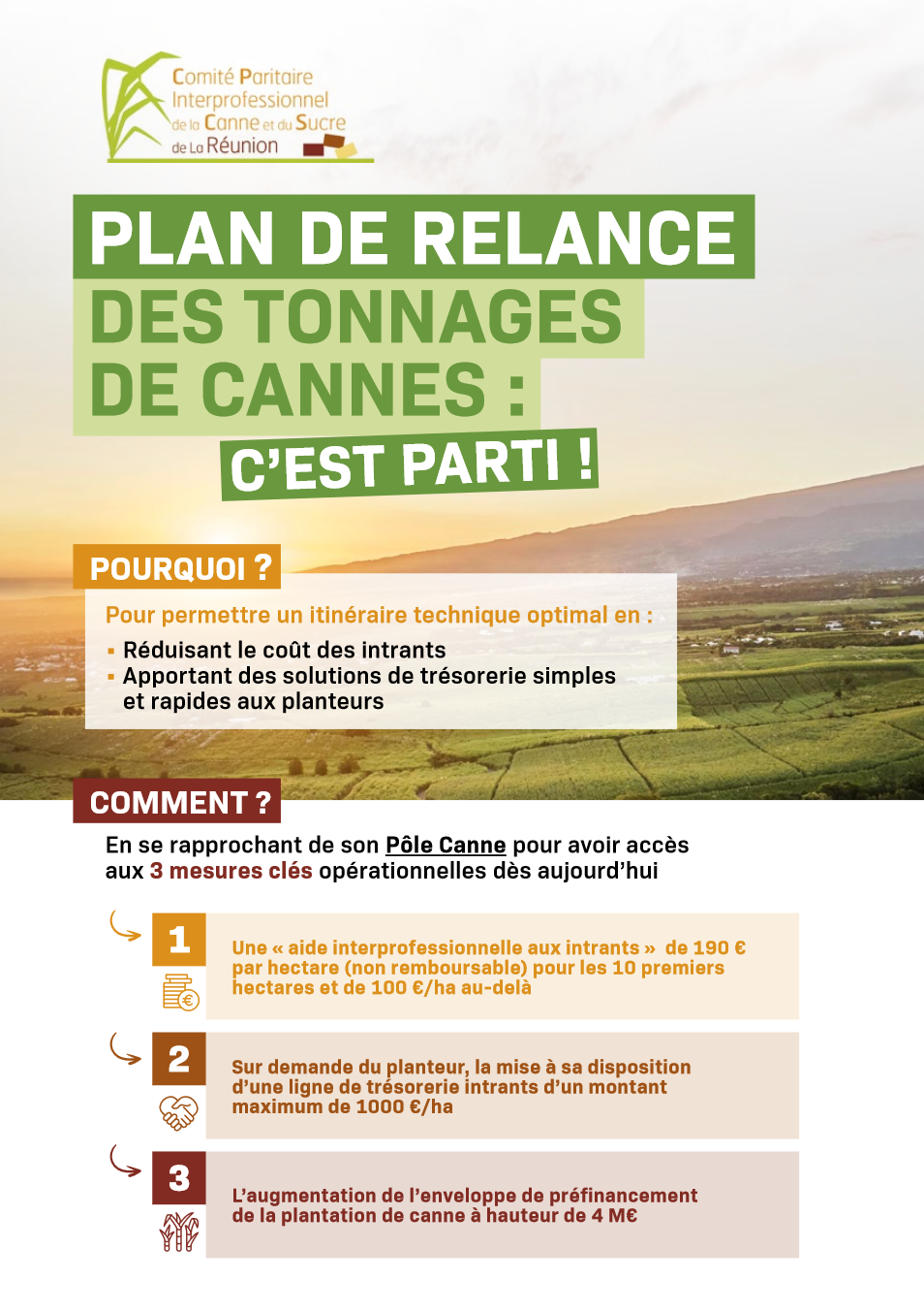 Le plan de relance des tonnages de canne : TOP DEPART !