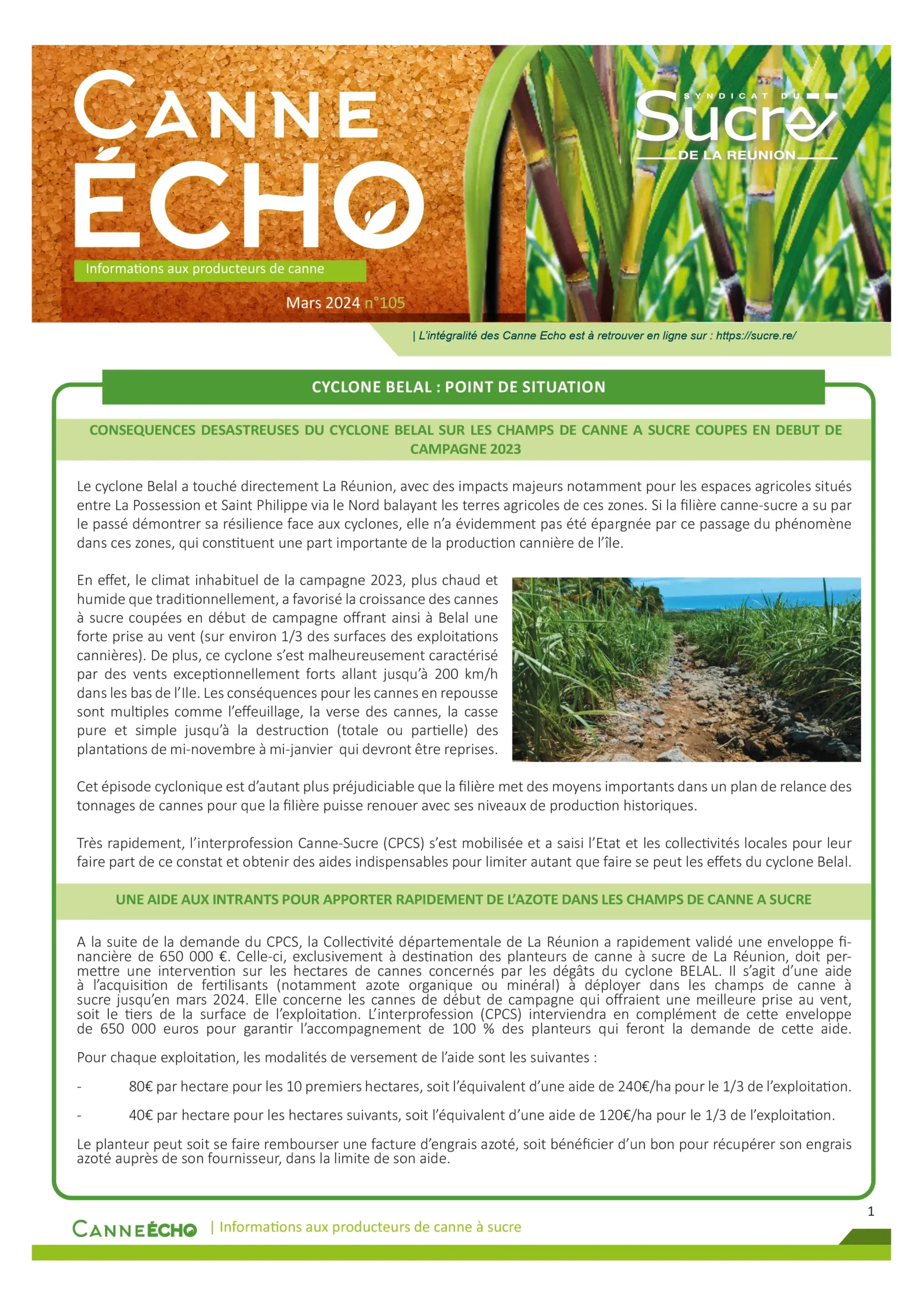 Canne Echo N°105