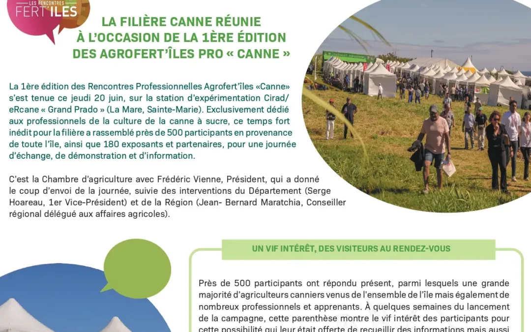 Canne Echo N°108