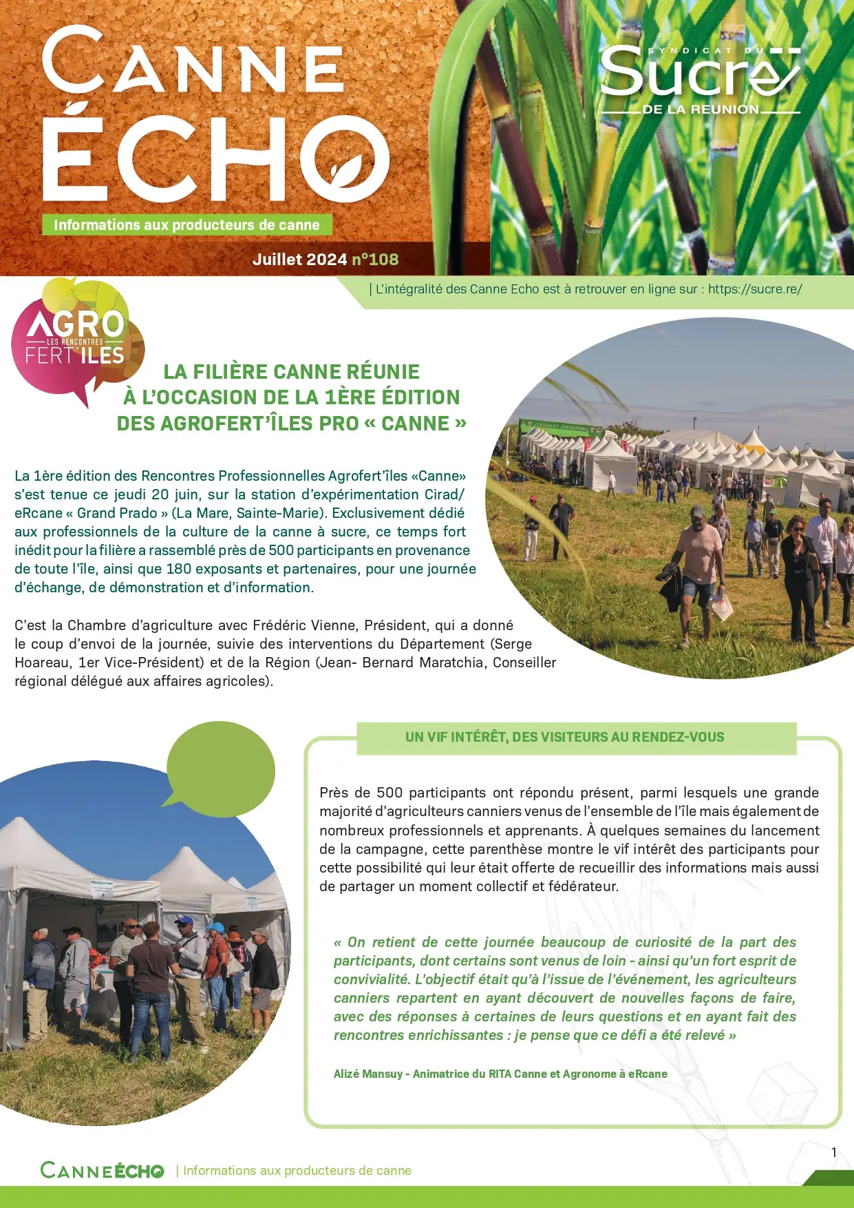 Canne Echo N°108