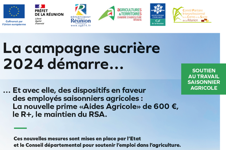 Mise en place de dispositifs en faveur des employés saisonniers agricoles