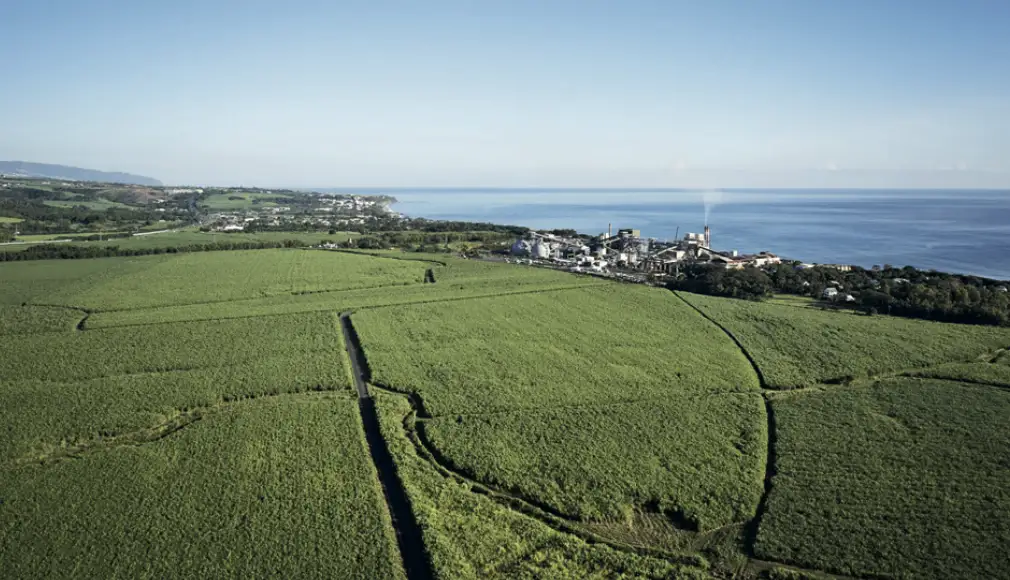 Memento Special Agroalimentaire 2024