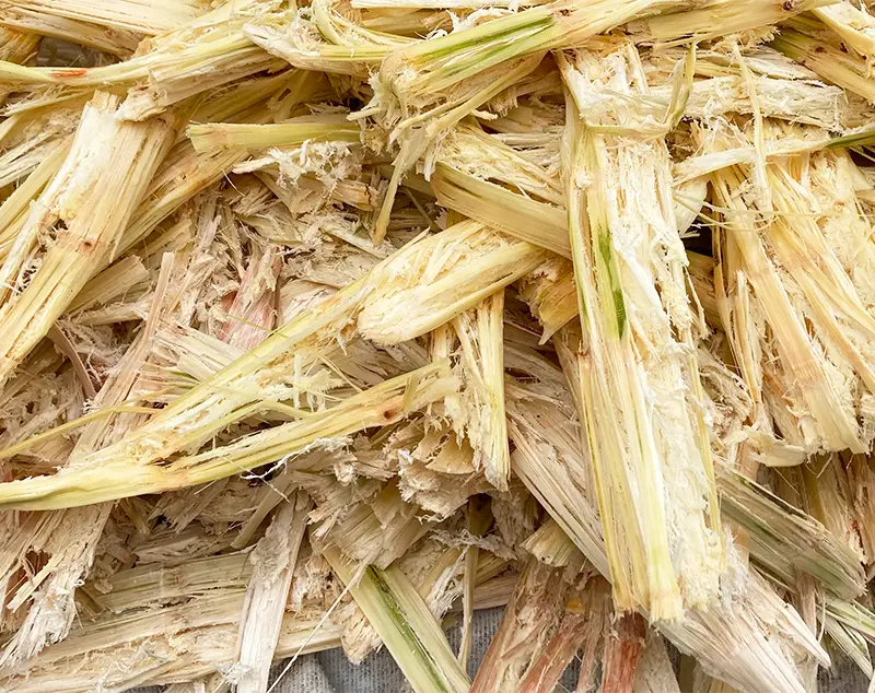 agasse, résidu fibreux de la canne à sucre