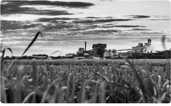 Première centrale thermique fonctionnant à la bagasse
