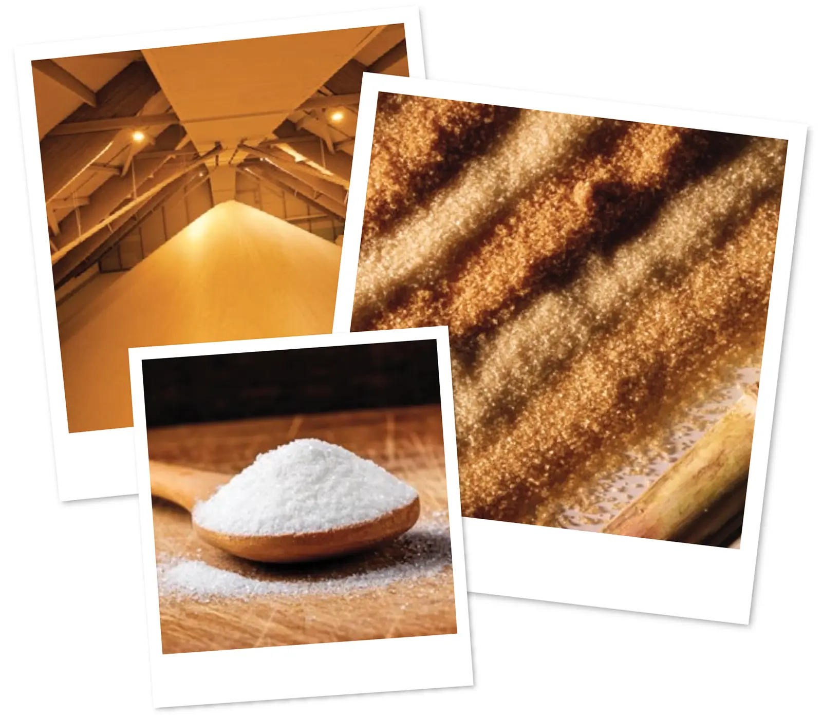 Exportation des sucres de La Réunion vers l'Europe