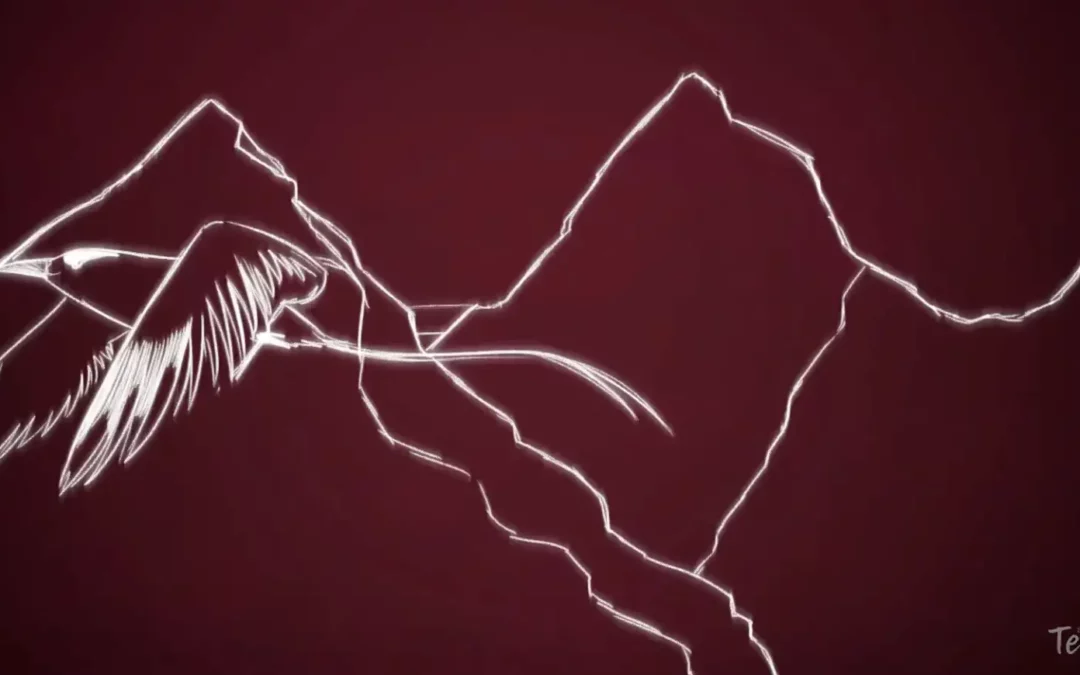 200 ans des Sucreries de La Réunion