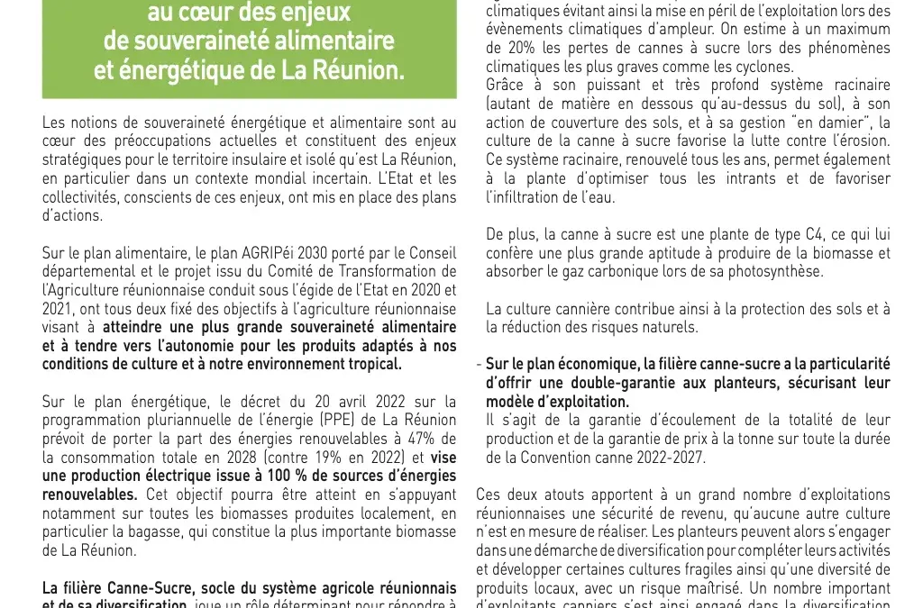 Terre Reunion Special Foire de Bras Panon