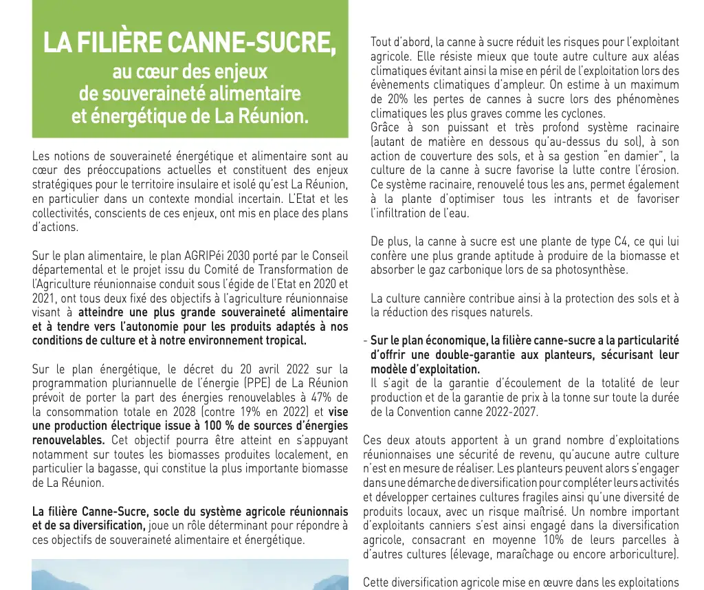 Terre Reunion Special Foire de Bras Panon