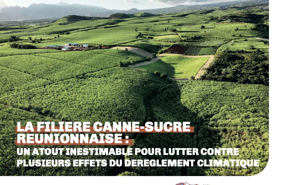 Terre Reunion – Special Foire de Bras Panon 2024