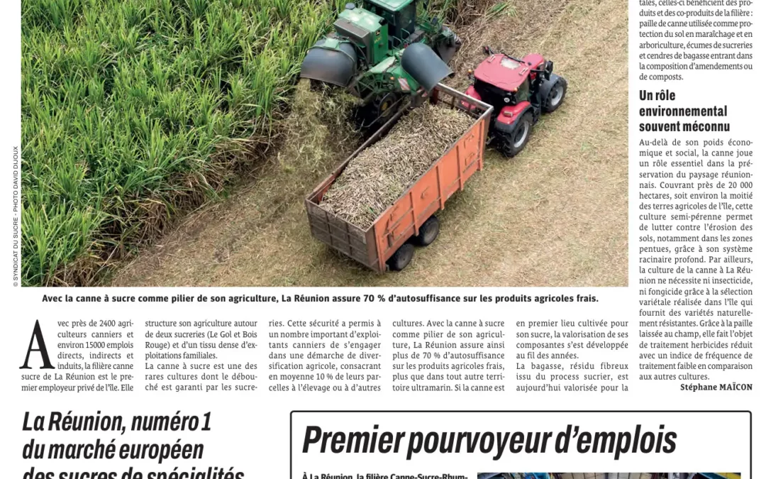 LE QUOTIDIEN Supplement local – Pilier stratégique de La Réunion entre tradition et avenir 9 SEPTEMBRE 2025