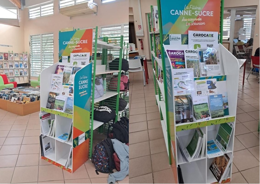 Transmettre le savoir des acteurs de la filière canne-sucre aux jeunes générations