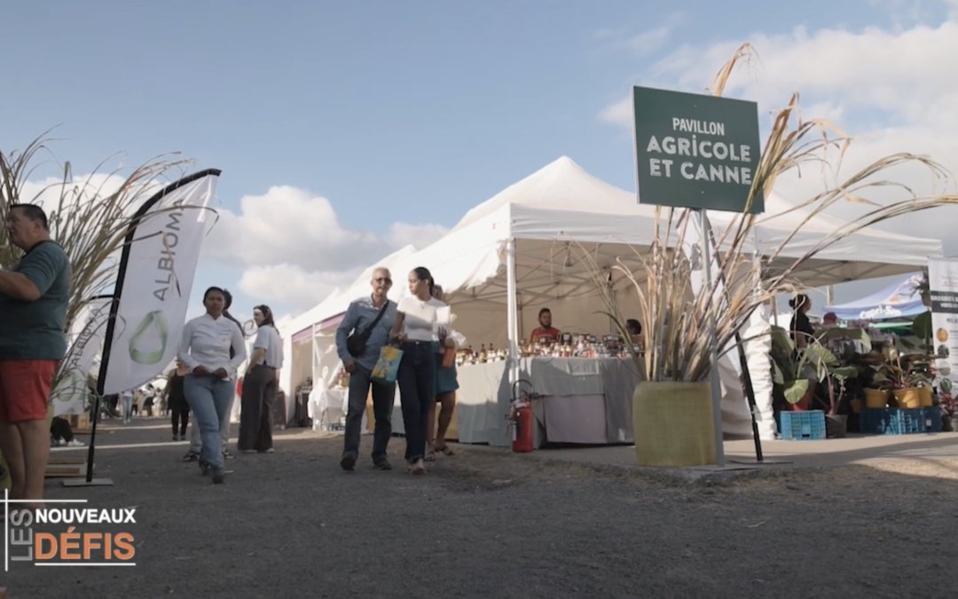 Reportage Les nouveaux défis – Spécial Salon Nou lé local 