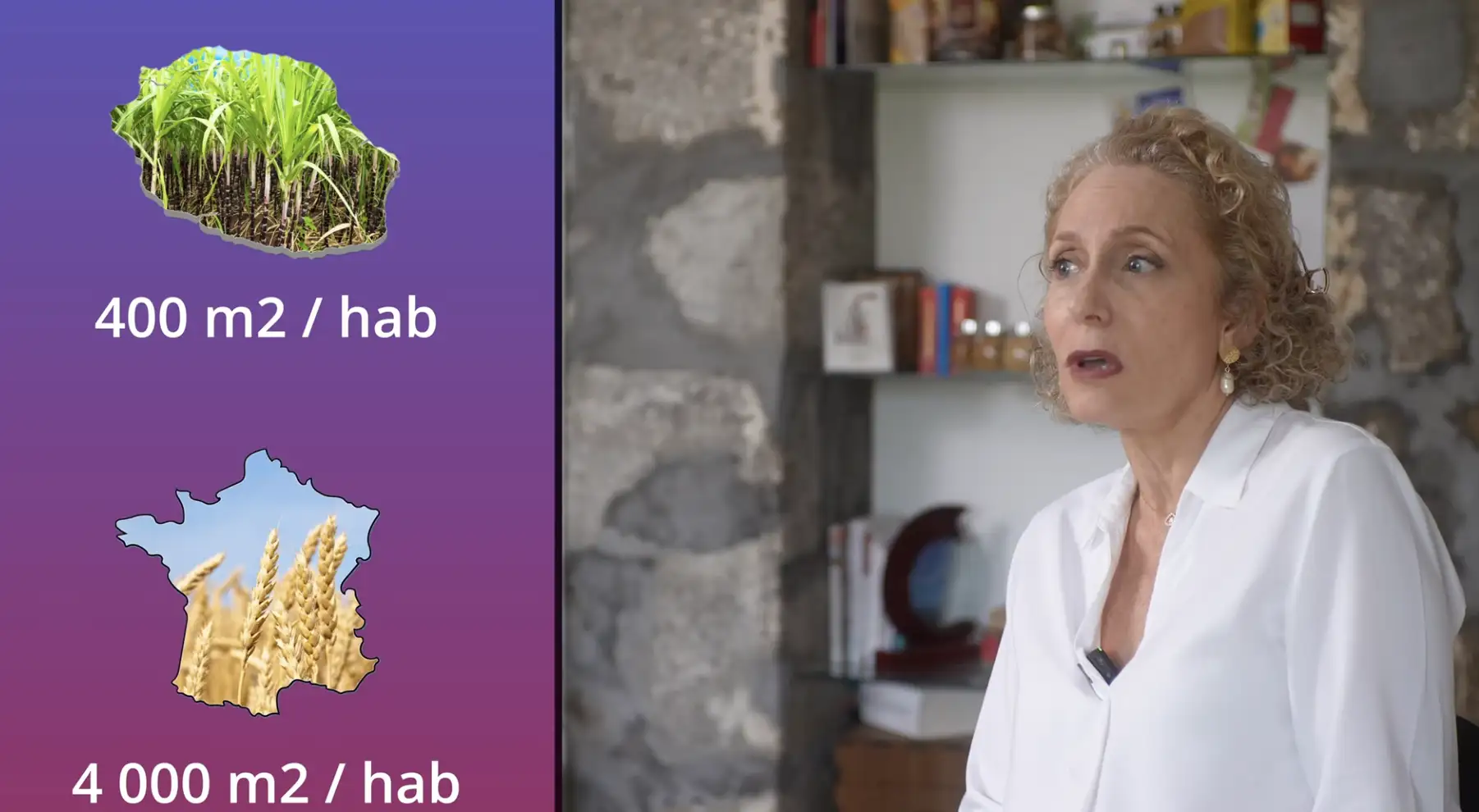 La canne à la Réunion – Moteur d’export au cœur de la souveraineté alimentaire