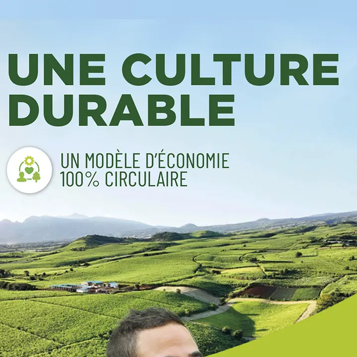 Un modèle d’économie 100% circulaire