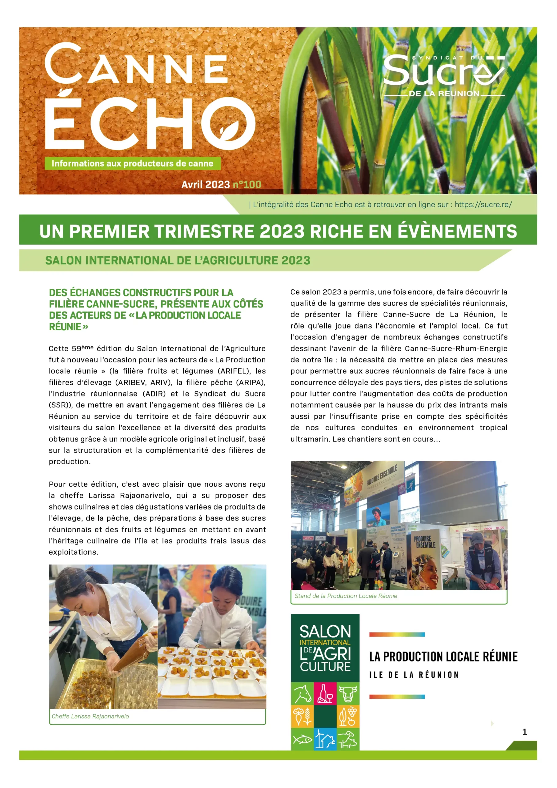 Canne Echo N°100