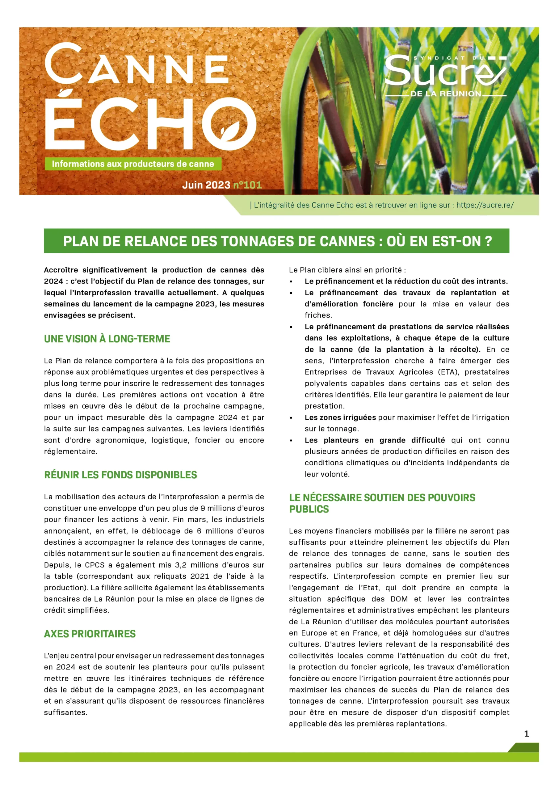 Canne Echo N°101