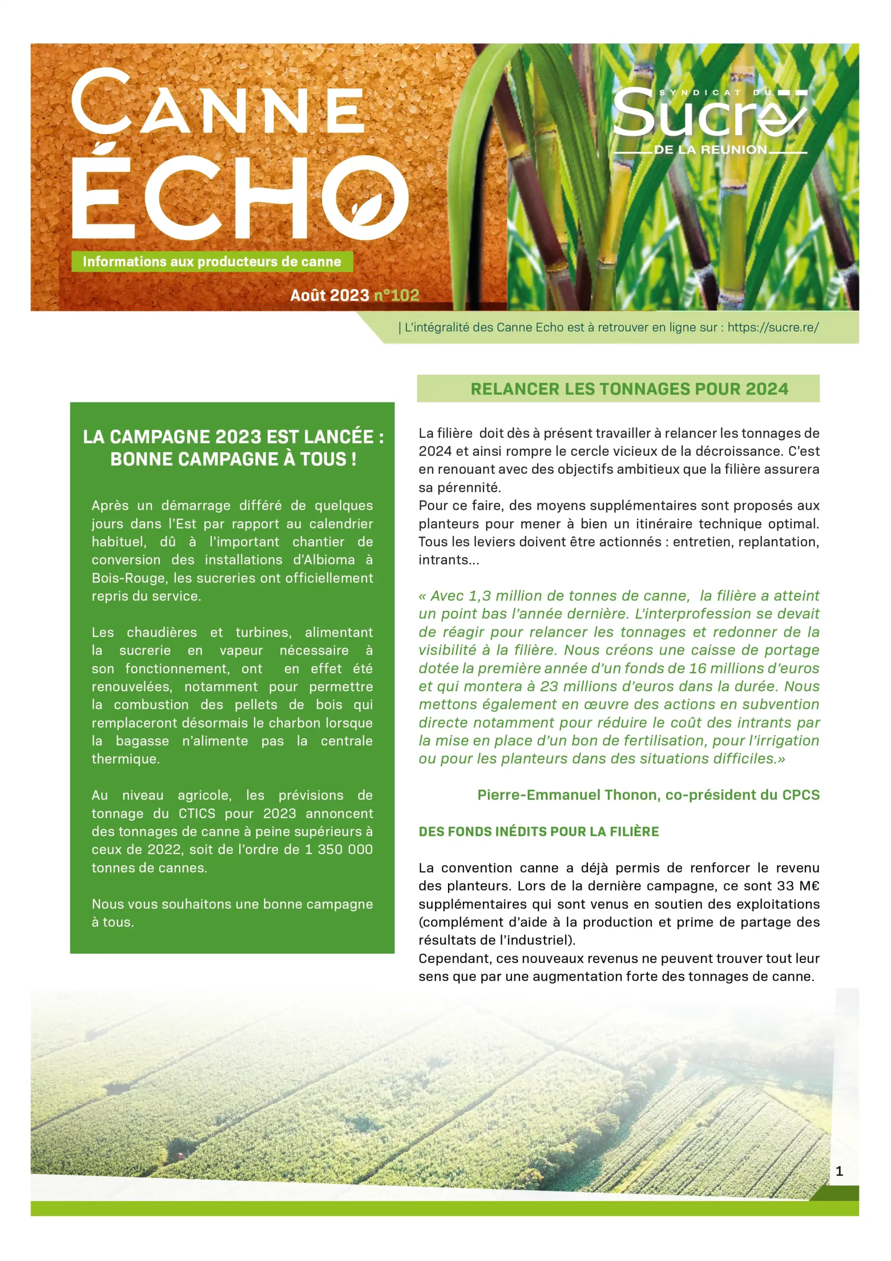 Canne Echo N°102
