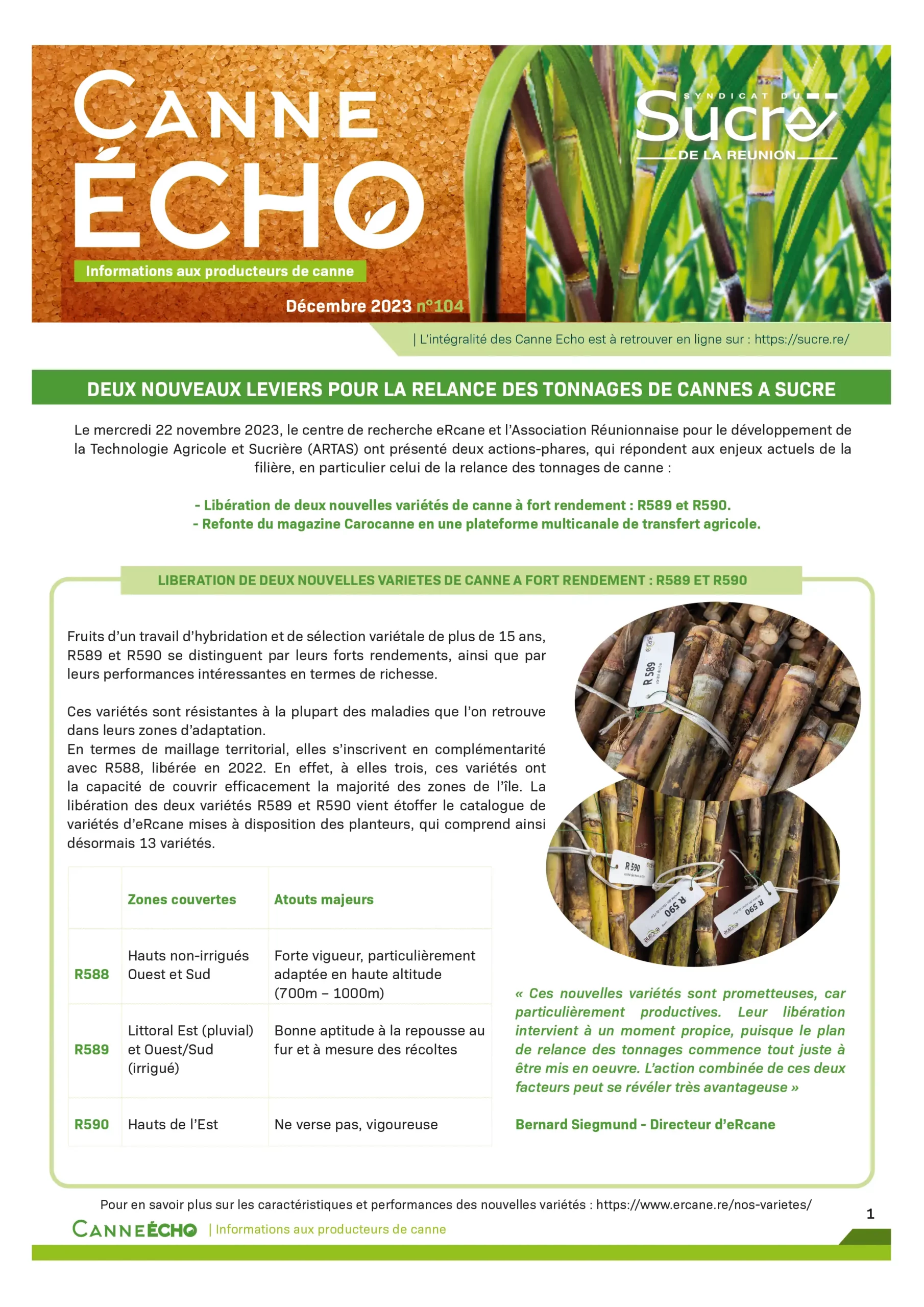 Canne Echo N°104
