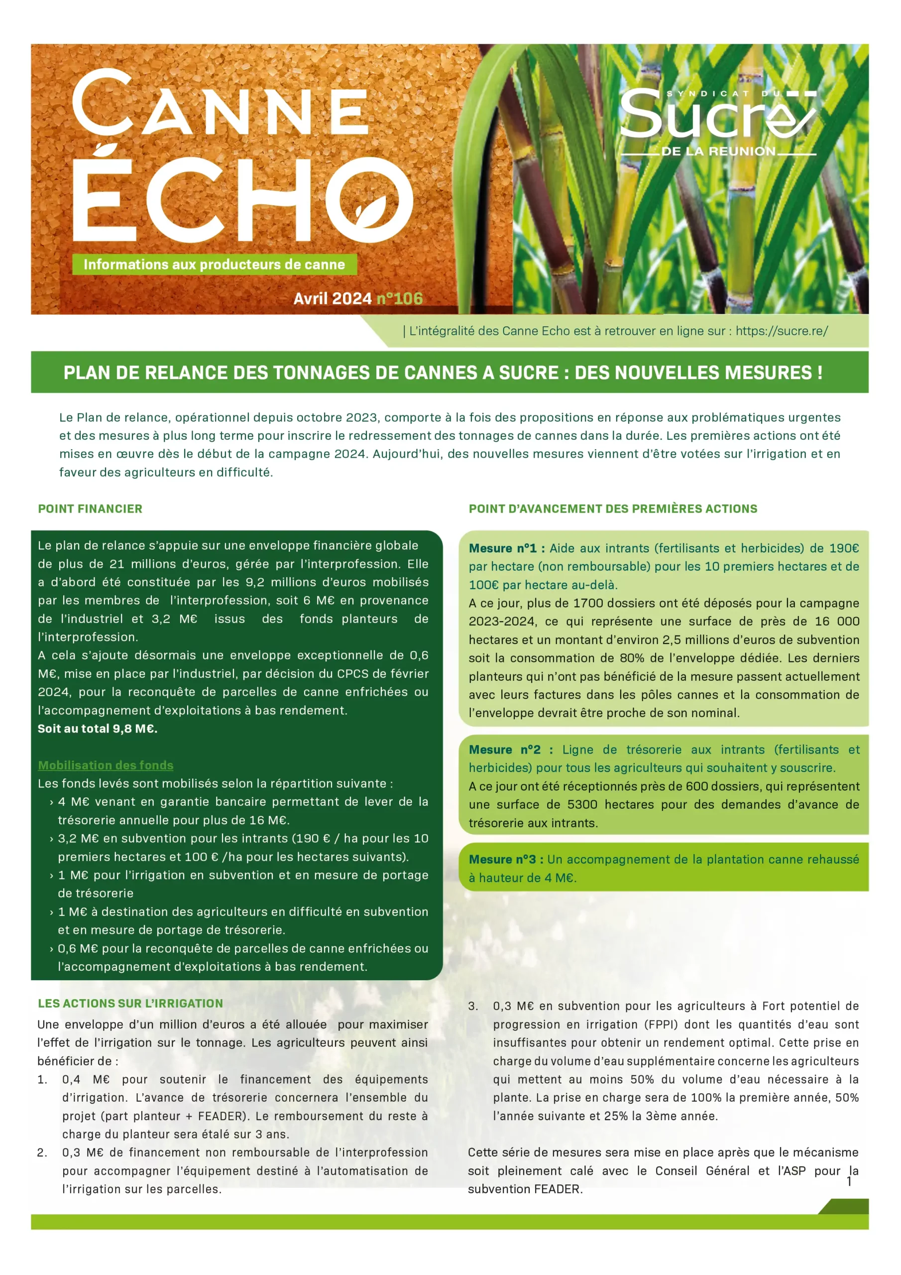 Canne Echo N°106