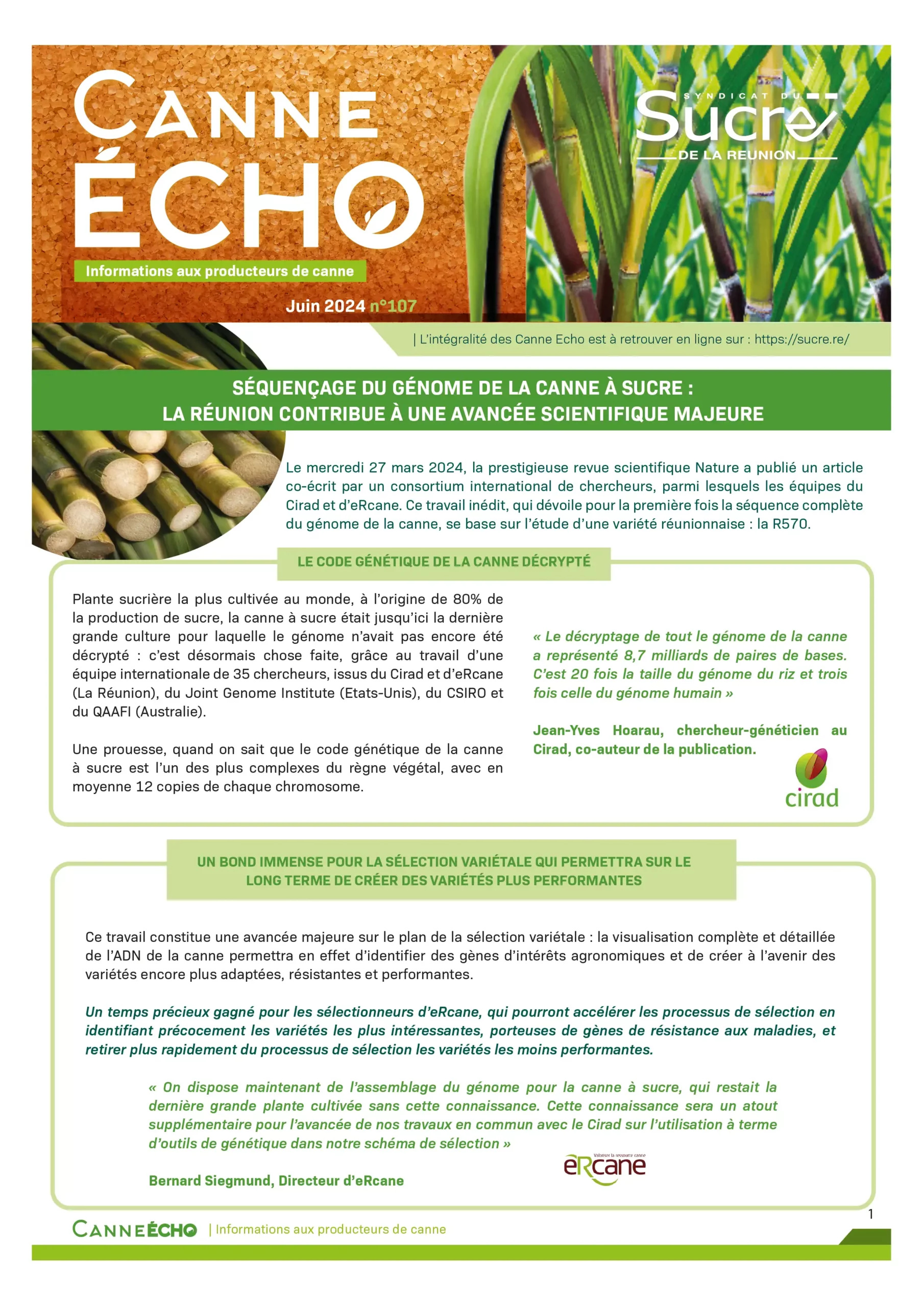 Canne Echo N°107