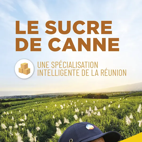 Une spécialisation intelligente de la Réunion