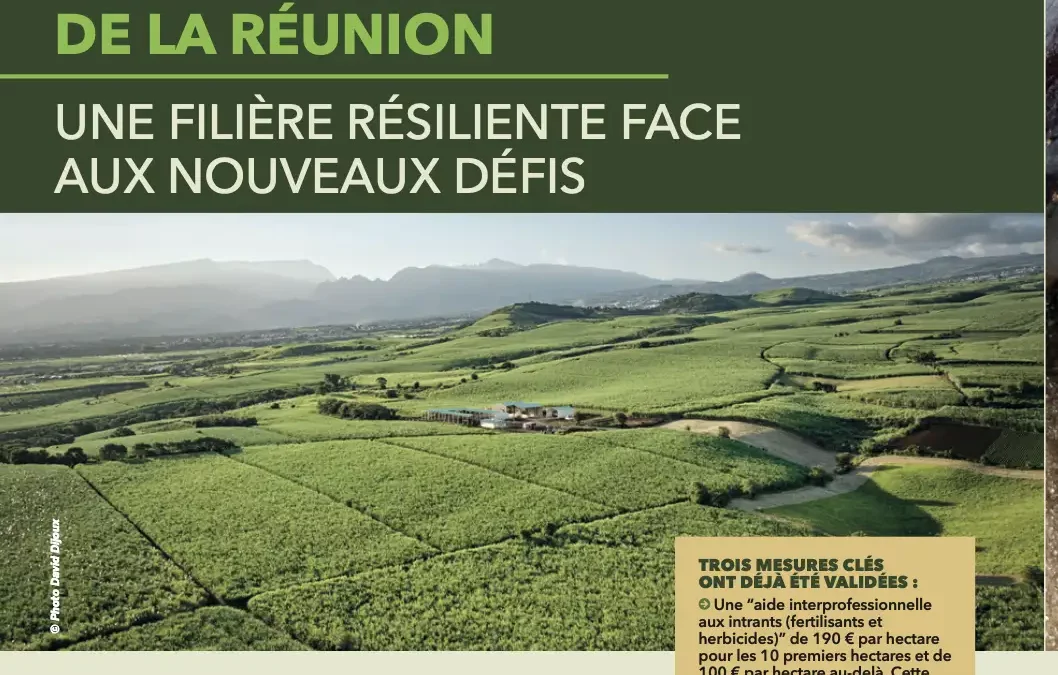 Memento Special Agroalimentaire