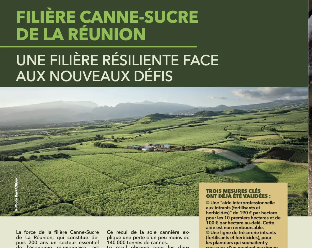 Memento Special Agroalimentaire