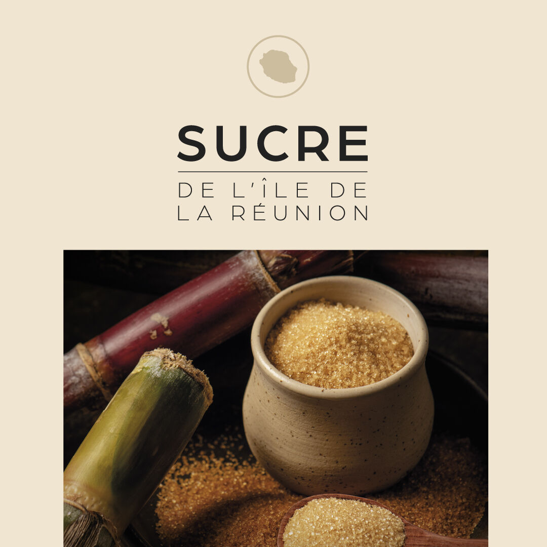 IGP Sucre de l’île de La Réunion : une étape clé vient d’être franchie