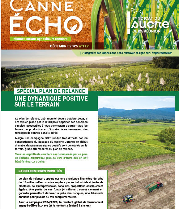 Canne Echo N°117