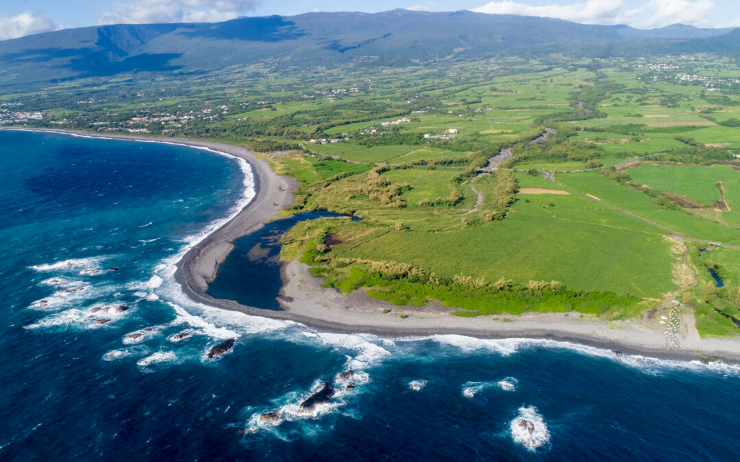 POSEI : moment décisif pour les régions ultrapériphériques (RUP)