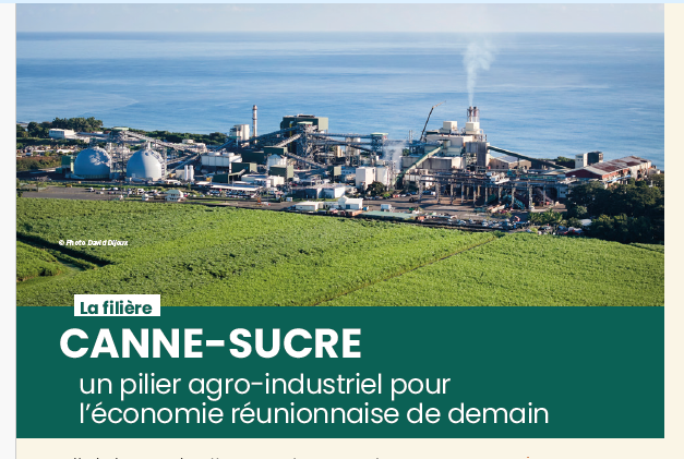 La filière Canne-Sucre : un pilier agro-industriel pour l&rsquo;économie réunionnaise de demain