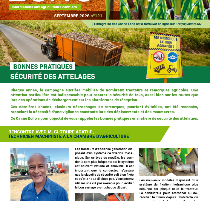 Canne Echo N°121